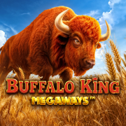Buffalo King Megaways
